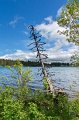 0093Lac serviere